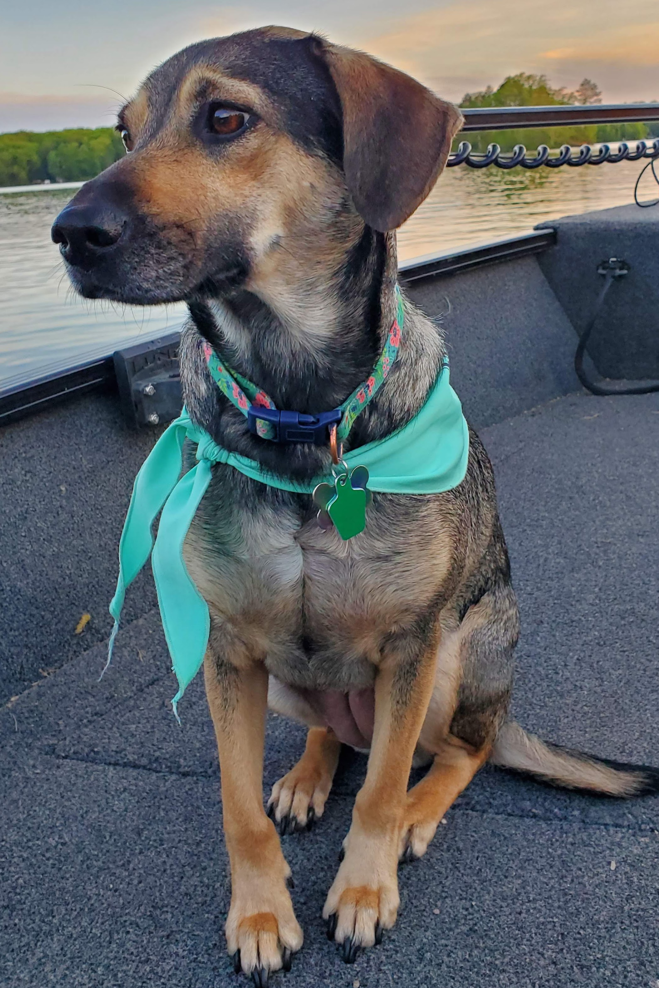 Maddie on a boat ride.